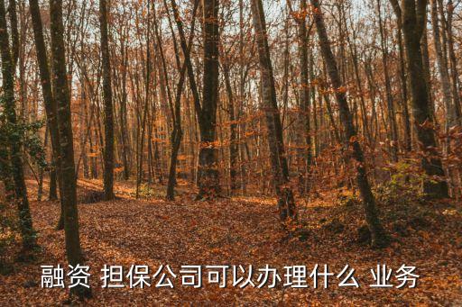 擔(dān)保業(yè)務(wù)