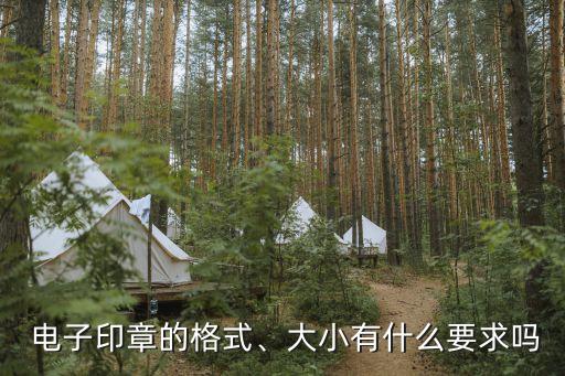 電子公章尺寸,word電子公章尺寸