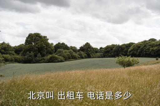 打出租車電話,出租車24小時叫車電話
