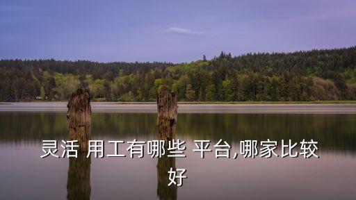 靈活用工平臺(tái)