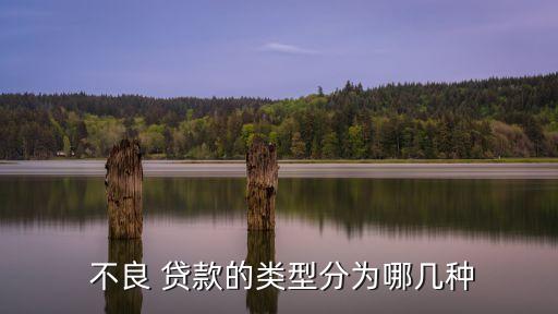不良貸款