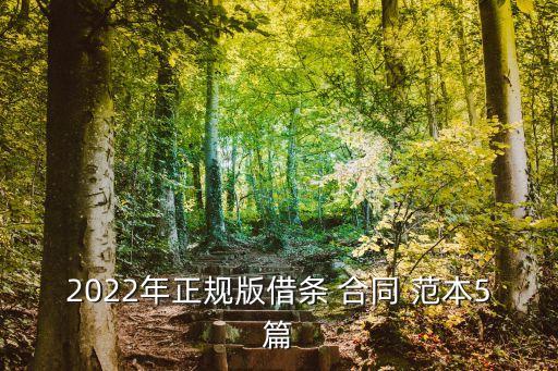 2022年正規(guī)版借條 合同 范本5篇