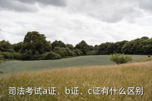 法律職業(yè)資格a證