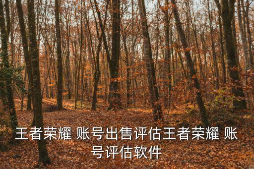 王者榮耀 賬號出售評估王者榮耀 賬號評估軟件
