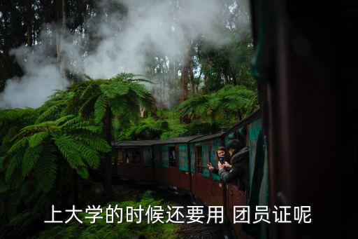 團(tuán)員證有什么用,中學(xué)生團(tuán)員證有什么用