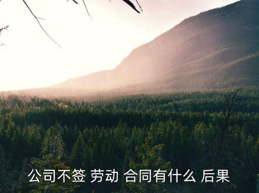 公司不簽 勞動 合同有什么 后果