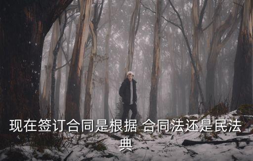 現(xiàn)在簽訂合同是根據(jù) 合同法還是民法典