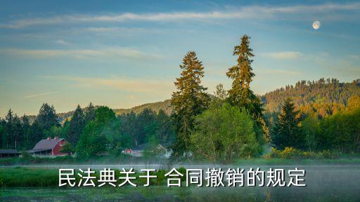  民法典關(guān)于 合同撤銷(xiāo)的規(guī)定