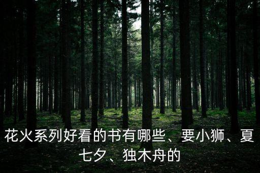 花火系列好看的書有哪些、要小獅、夏七夕、獨(dú)木舟的