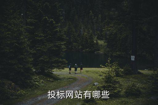 投標網(wǎng)站有哪些