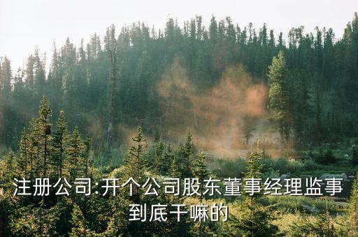 注冊公司:開個公司股東董事經(jīng)理監(jiān)事到底干嘛的