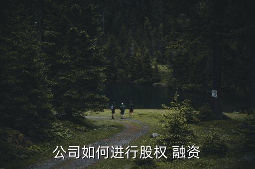 公司如何進(jìn)行股權(quán) 融資