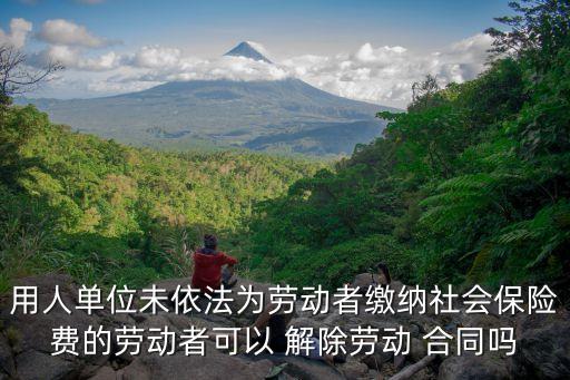 用人單位未依法為勞動者繳納社會保險費(fèi)的勞動者可以 解除勞動 合同嗎