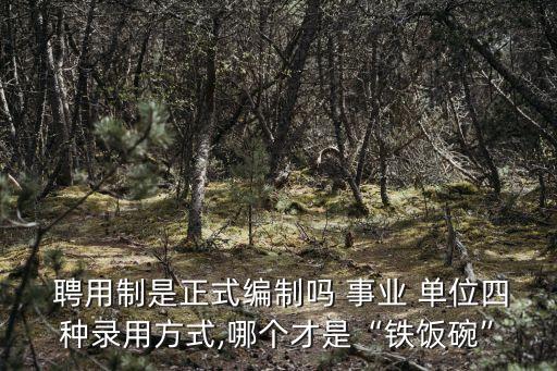 事業(yè)單位聘用制