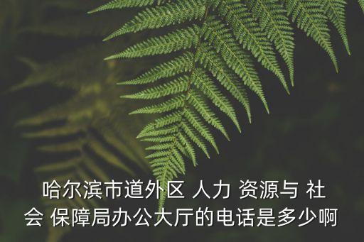  哈爾濱市道外區(qū) 人力 資源與 社會 保障局辦公大廳的電話是多少啊