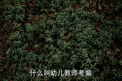 什么叫幼兒教師考編