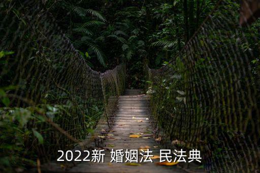 民法典婚姻法新規(guī)