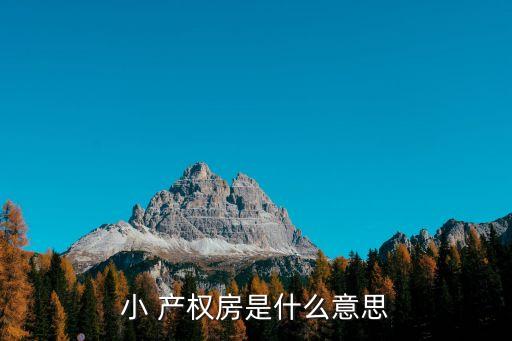 什么叫小產(chǎn)權(quán)房,40年產(chǎn)權(quán)的公寓值得買嗎