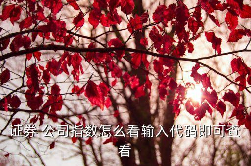 證劵公司,證券公司屬于什么性質(zhì)單位