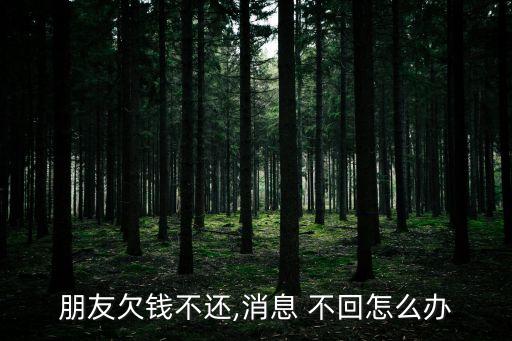 朋友欠錢不還,消息 不回怎么辦