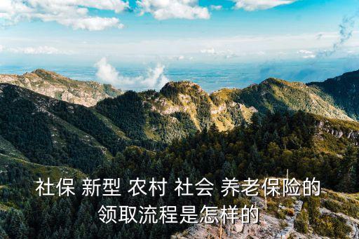 新型農(nóng)村社會(huì)養(yǎng)老保險(xiǎn)