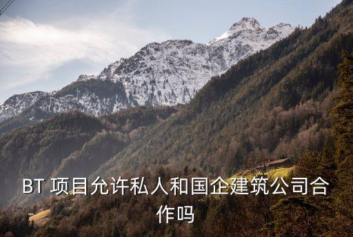bt項(xiàng)目