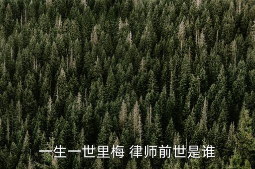 梅律師