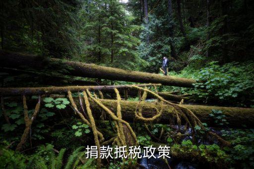 企業(yè)捐款