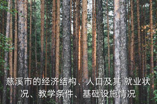 慈溪市的經(jīng)濟結(jié)構(gòu)、人口及其 就業(yè)狀況、教學(xué)條件、基礎(chǔ)設(shè)施情況