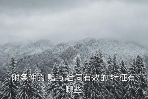 附條件的 贈(zèng)與 合同有效的 特征有哪些