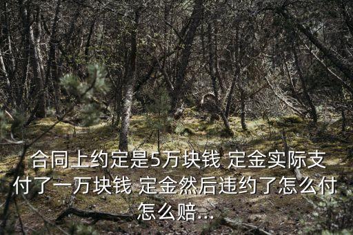  合同上約定是5萬塊錢 定金實(shí)際支付了一萬塊錢 定金然后違約了怎么付怎么賠...
