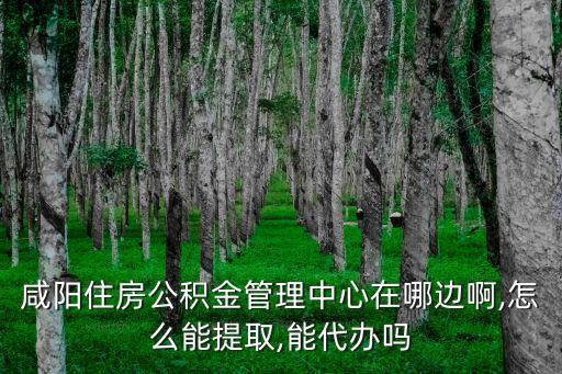 咸陽住房公積金管理中心在哪邊啊,怎么能提取,能代辦嗎