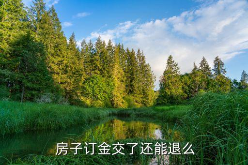 房子交上定金可以退嗎,交房子定金怎么簽合同
