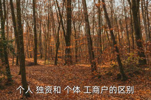 個(gè)人獨(dú)資企業(yè)和個(gè)體工商戶的區(qū)別,合伙企業(yè)