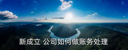新成立 公司如何做賬務(wù)處理