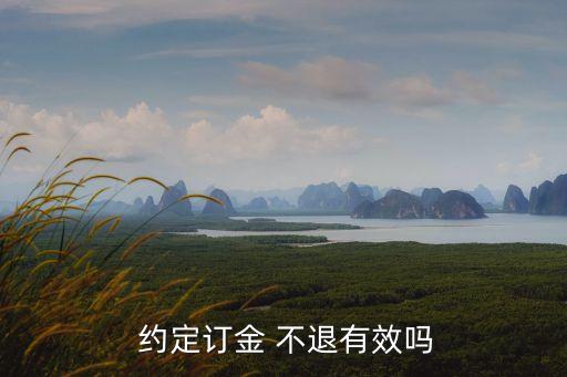  約定訂金 不退有效嗎