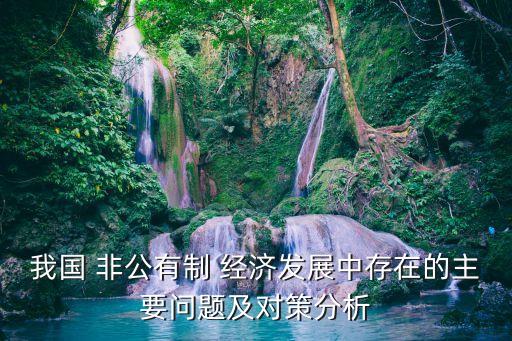 非公經(jīng)濟(jì)