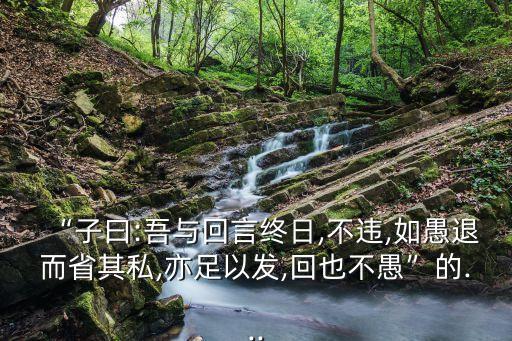 謙上教育怎么退款,山東謙上教育退款