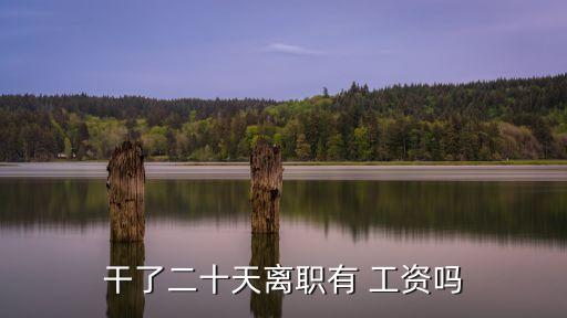 干了二十天離職有 工資嗎