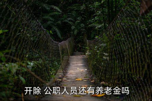  開除 公職人員還有養(yǎng)老金嗎