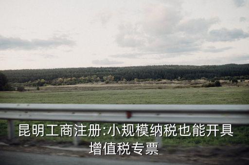  昆明工商注冊:小規(guī)模納稅也能開具增值稅專票