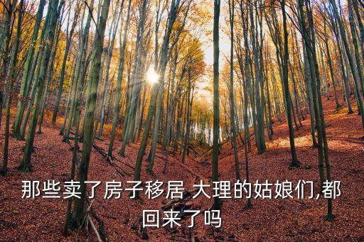 大理二手房