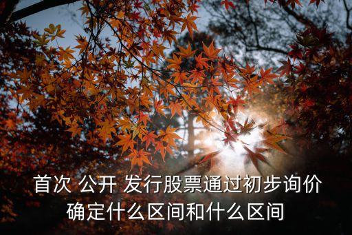 首次公開發(fā)行