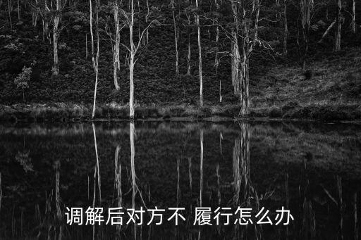 調(diào)解后對方不 履行怎么辦