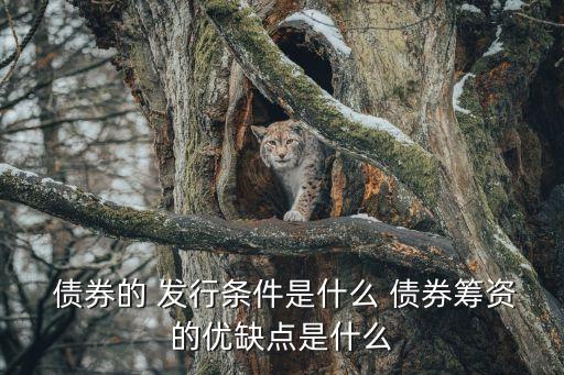  債券的 發(fā)行條件是什么 債券籌資的優(yōu)缺點(diǎn)是什么