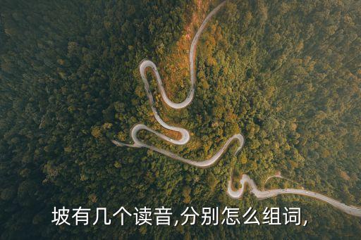 坡有幾個讀音,分別怎么組詞,