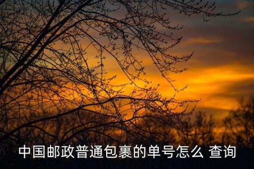 中國(guó)郵政普通包裹的單號(hào)怎么 查詢