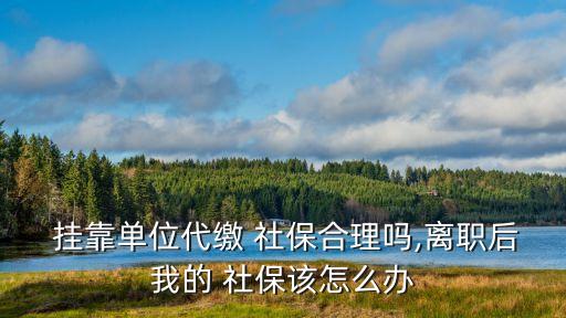  掛靠單位代繳 社保合理嗎,離職后我的 社保該怎么辦