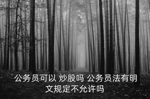  公務(wù)員可以 炒股嗎 公務(wù)員法有明文規(guī)定不允許嗎