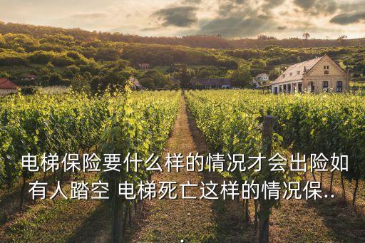 電梯保險(xiǎn)